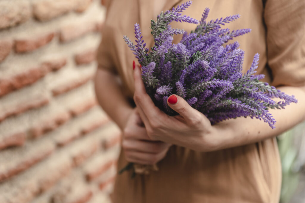 Freepik imagem como cultivar lavanda.